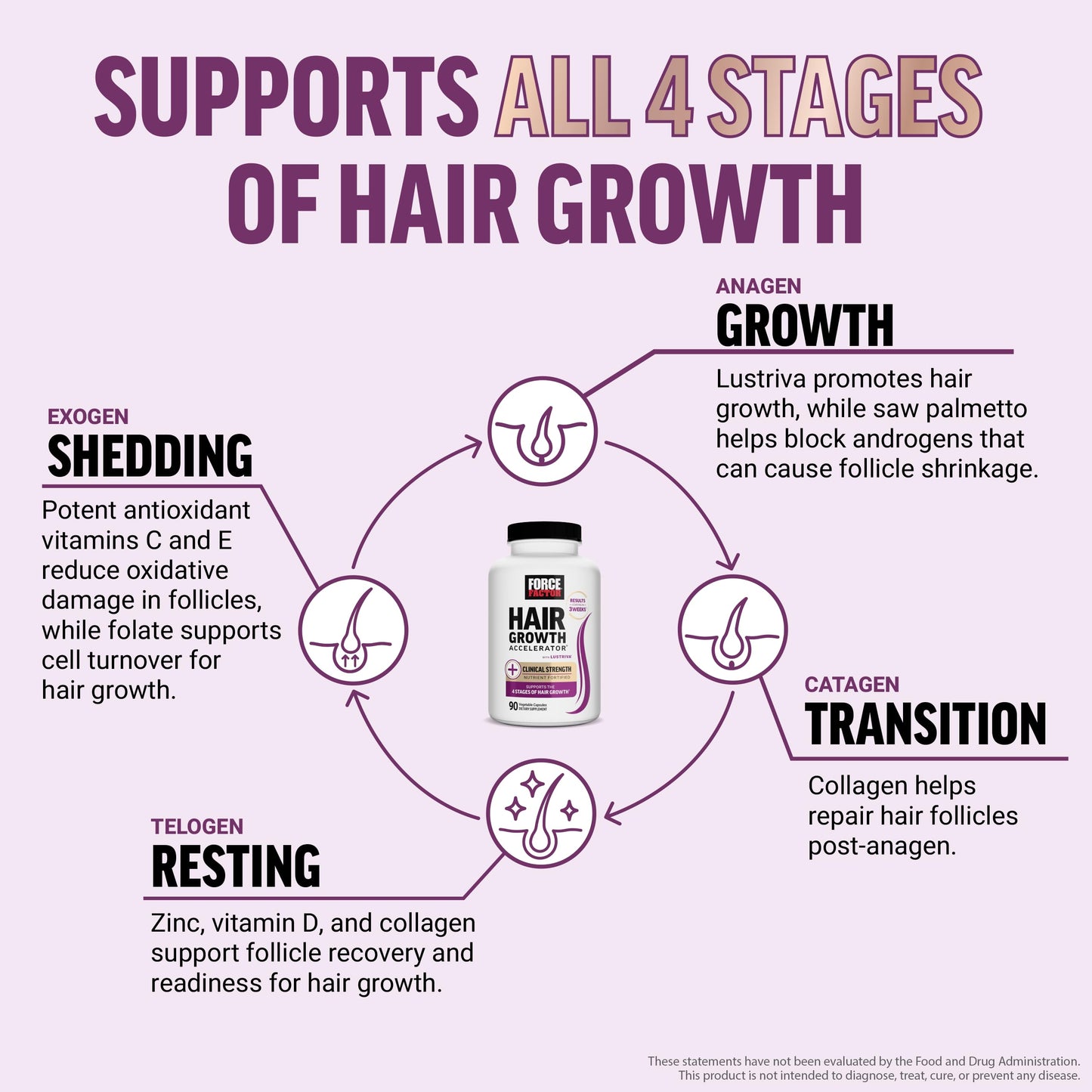 Force Factor Hair Growth Accelerator Multivitamin | Lustriva, Biotin & Vitamins A–E | 90 Capsules