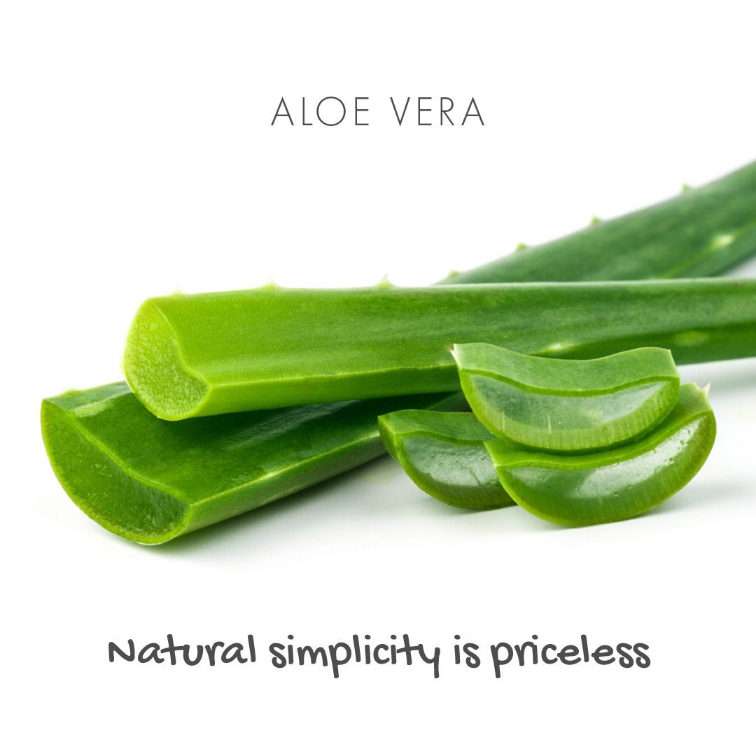 Friendly Soap Aloe Vera Natural Soap Bar — Fragrance-Free - Calm Era