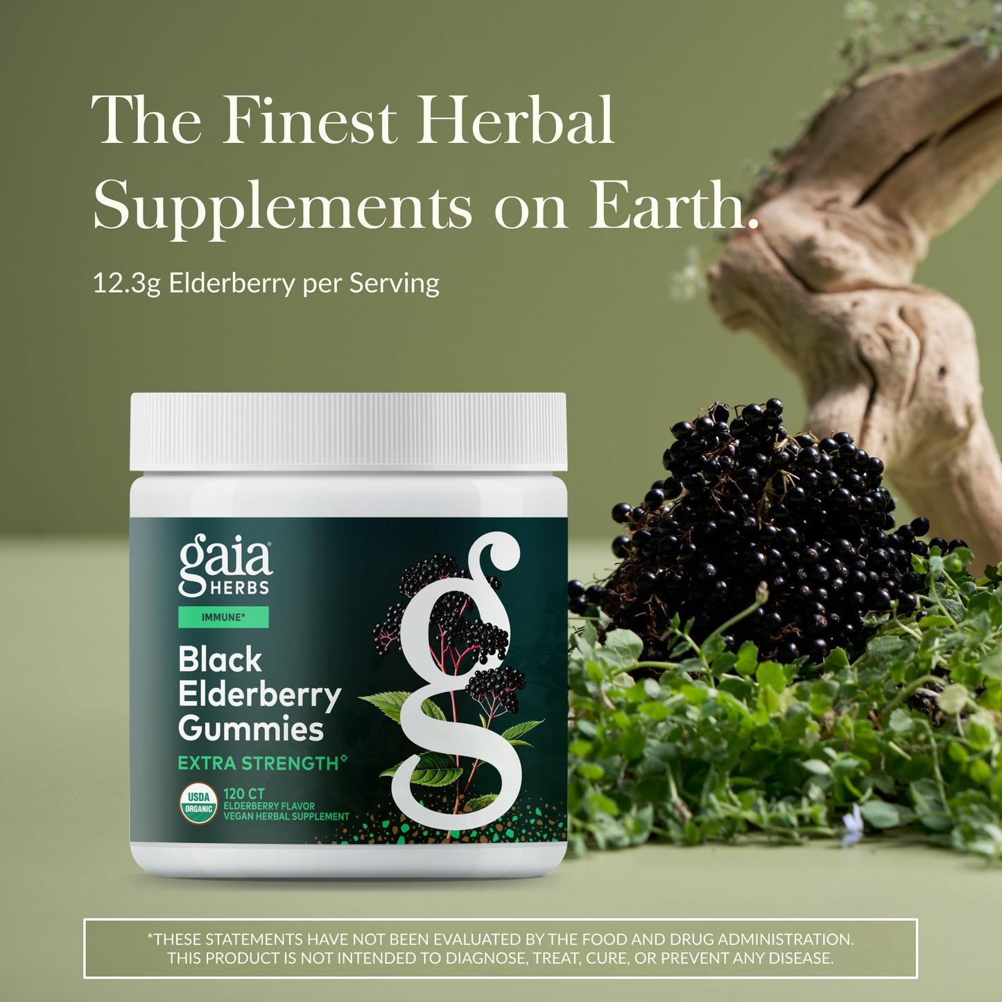 Gaia Herbs Black Elderberry Gummies – Extra Strength Immune Support | 120 Gummies