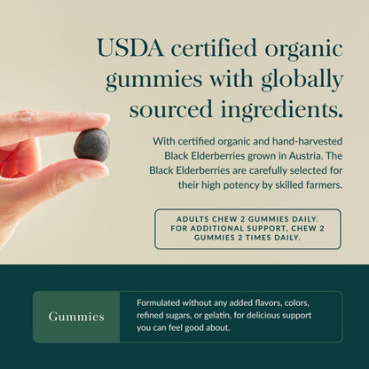 Gaia Herbs Black Elderberry Gummies – Extra Strength Immune Support | 120 Gummies