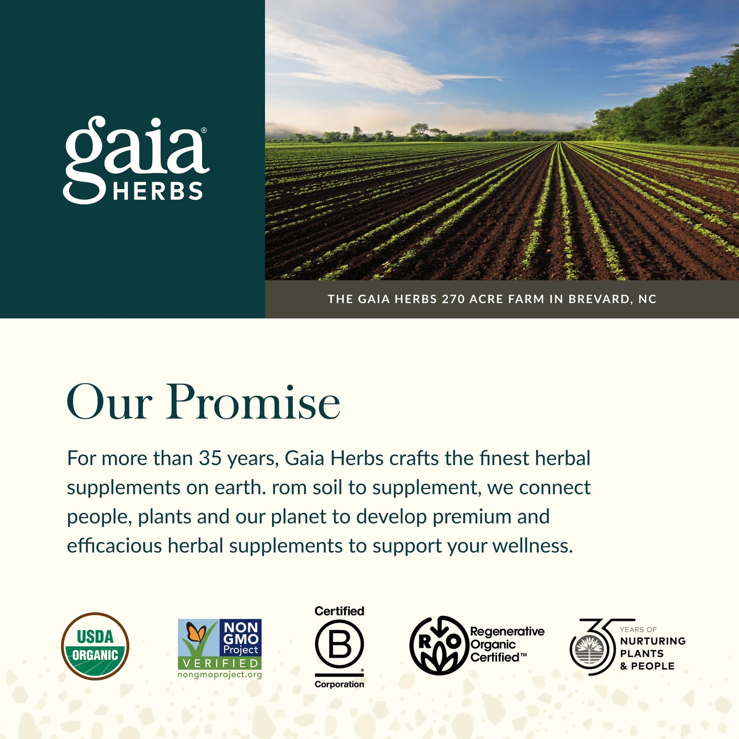 Gaia Herbs Black Elderberry Gummies – Extra Strength Immune Support | 120 Gummies