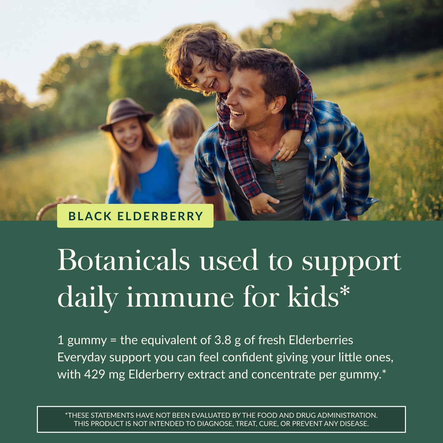 GaiaKids Black Elderberry Daily Gummies for Kids — 40 Gummies