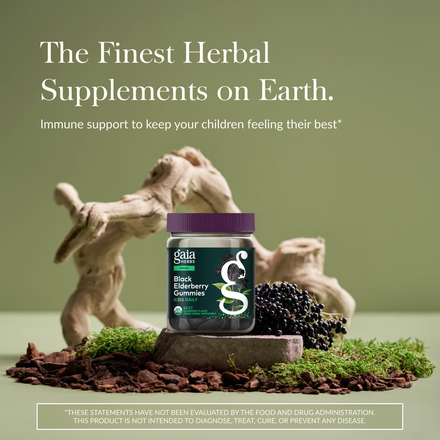 GaiaKids Black Elderberry Daily Gummies for Kids — 40 Gummies