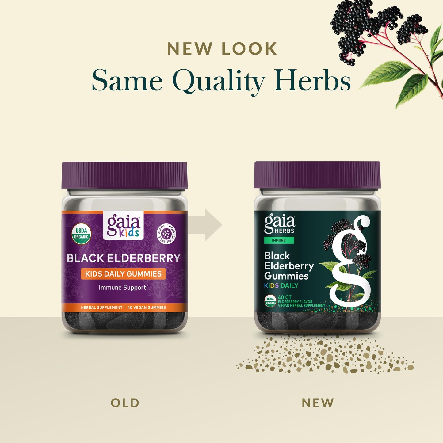 GaiaKids Black Elderberry Daily Gummies for Kids — 40 Gummies