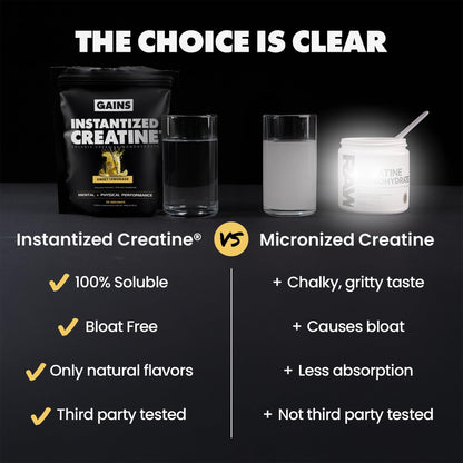Gains in Bulk Instantized Creatine Monohydrate – Sweet Lemonade 30 Servings