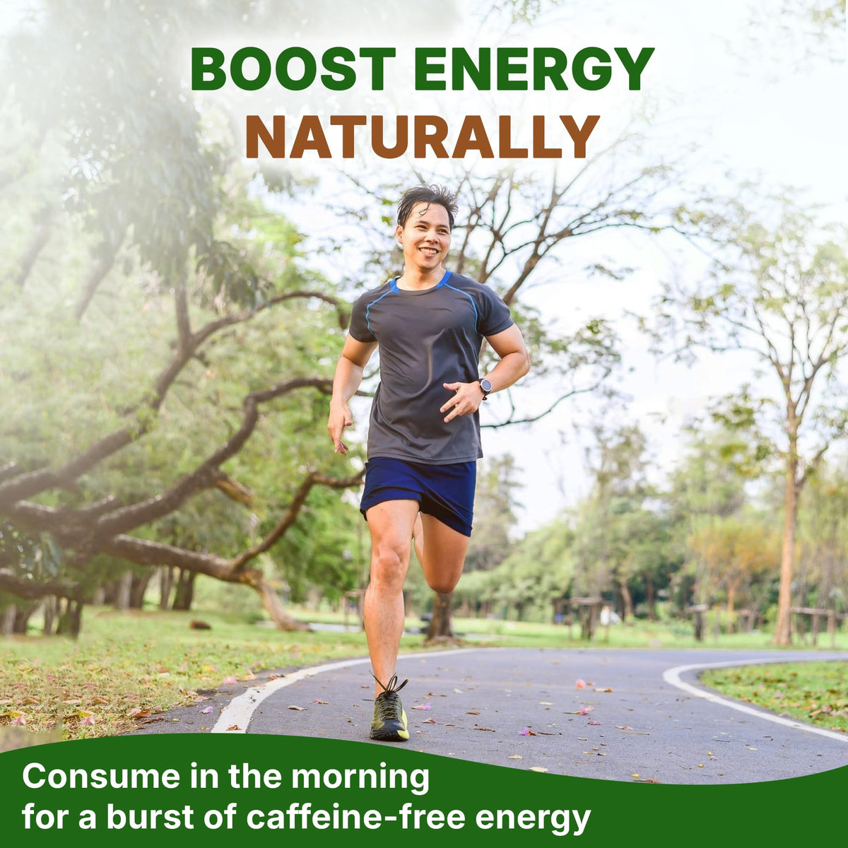 Go Nutra Dandelion Root Extract Powder