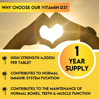Grounded Vitamin D3 4000 IU – 365 Tablets, High-Strength Daily Supplement