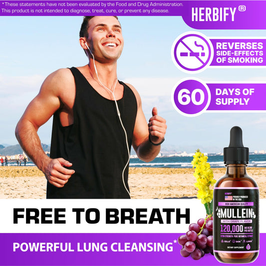 Herbify Mullein Drops Lung & Immune Support 4oz Grape - Calm Era