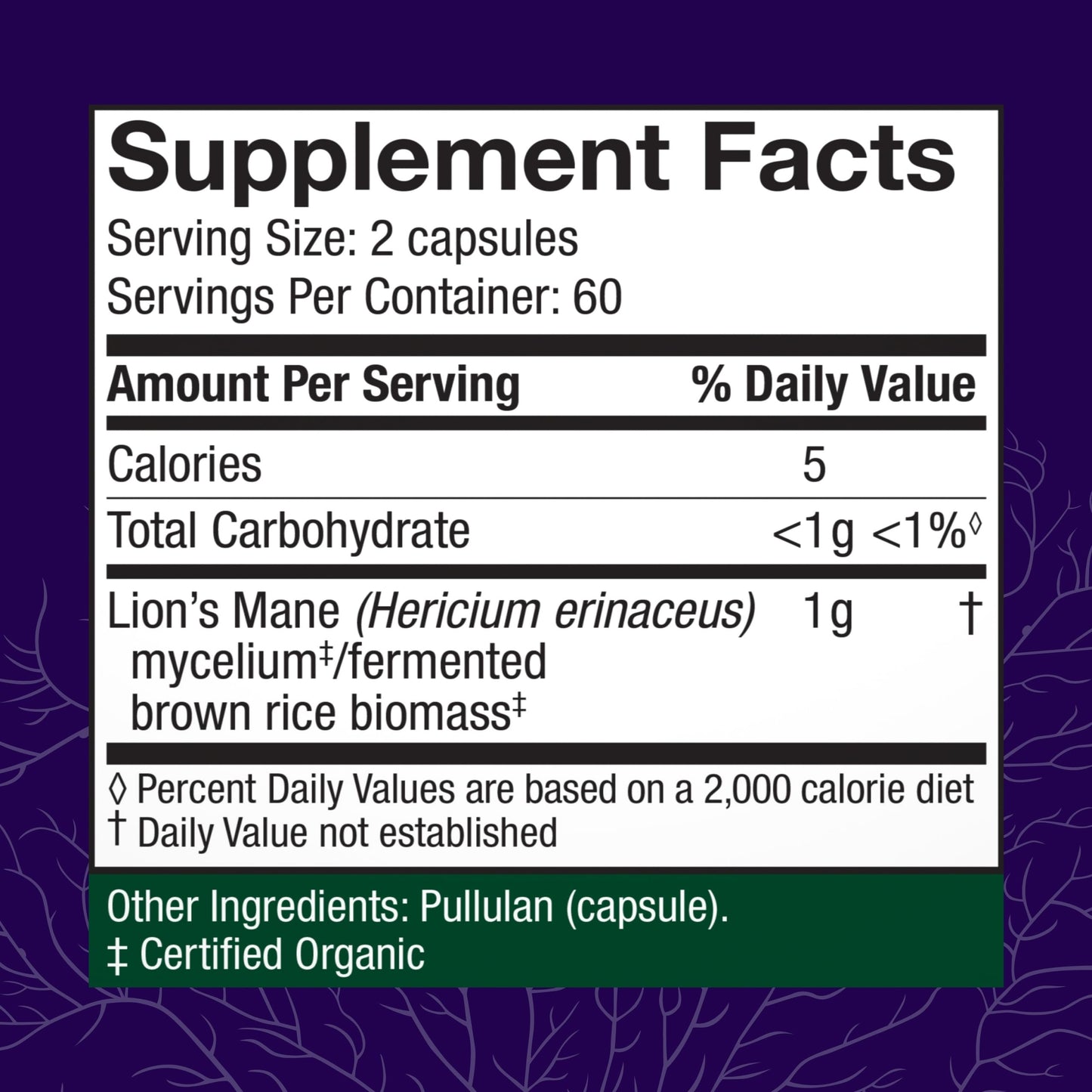 Host Defense Mushrooms Lion's Mane – Brain Health, Focus & Memory (120 Capsules)