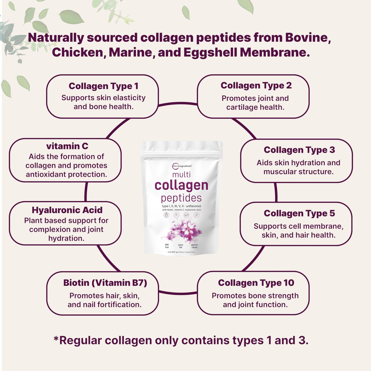 Micro Ingredients Multi Collagen Peptides Powder 2lb | Types I, II, III, V & X | with Hyaluronic Acid, Biotin & Vitamin C