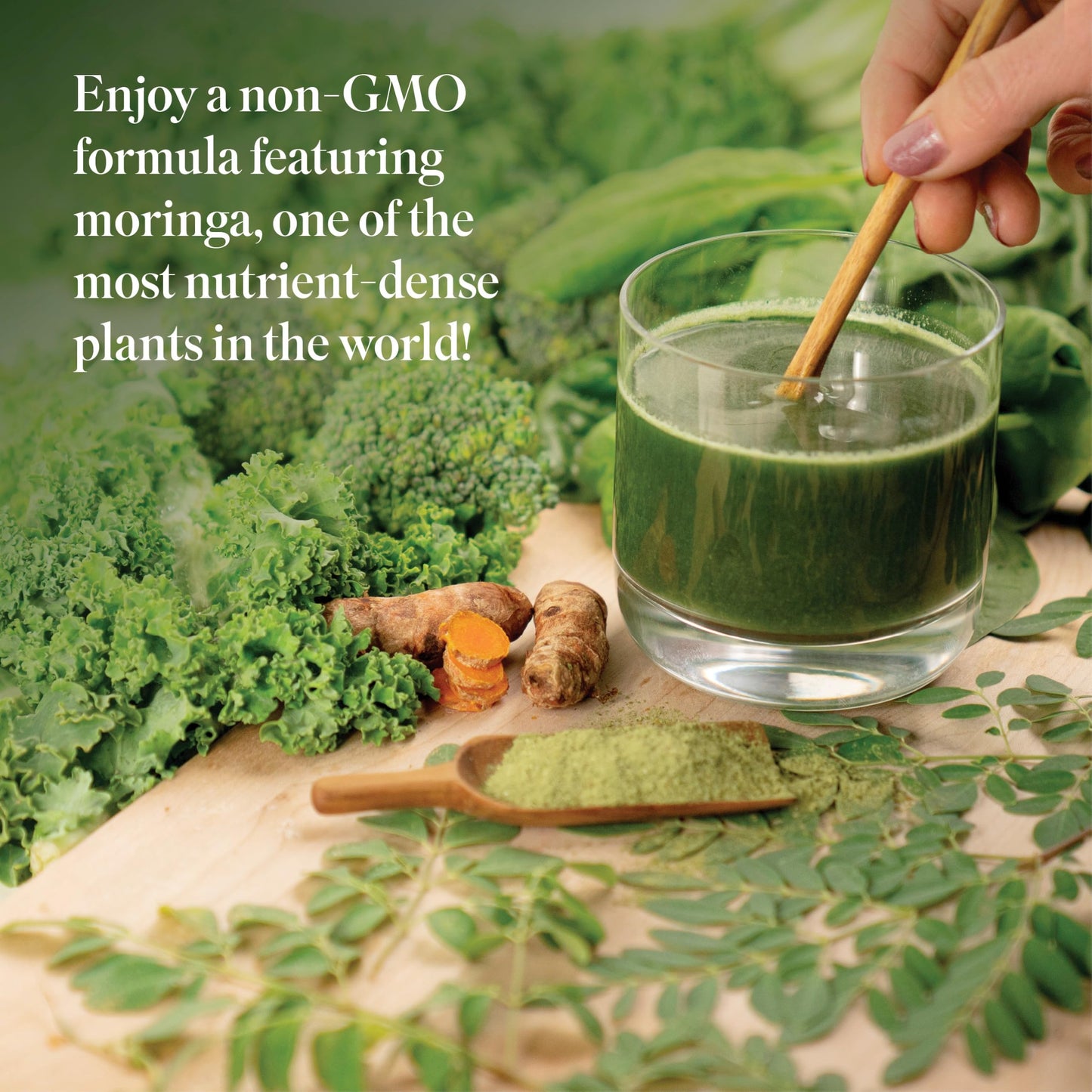 Isagenix Moringa Greens Powder 300g | 30 Servings | Non-GMO