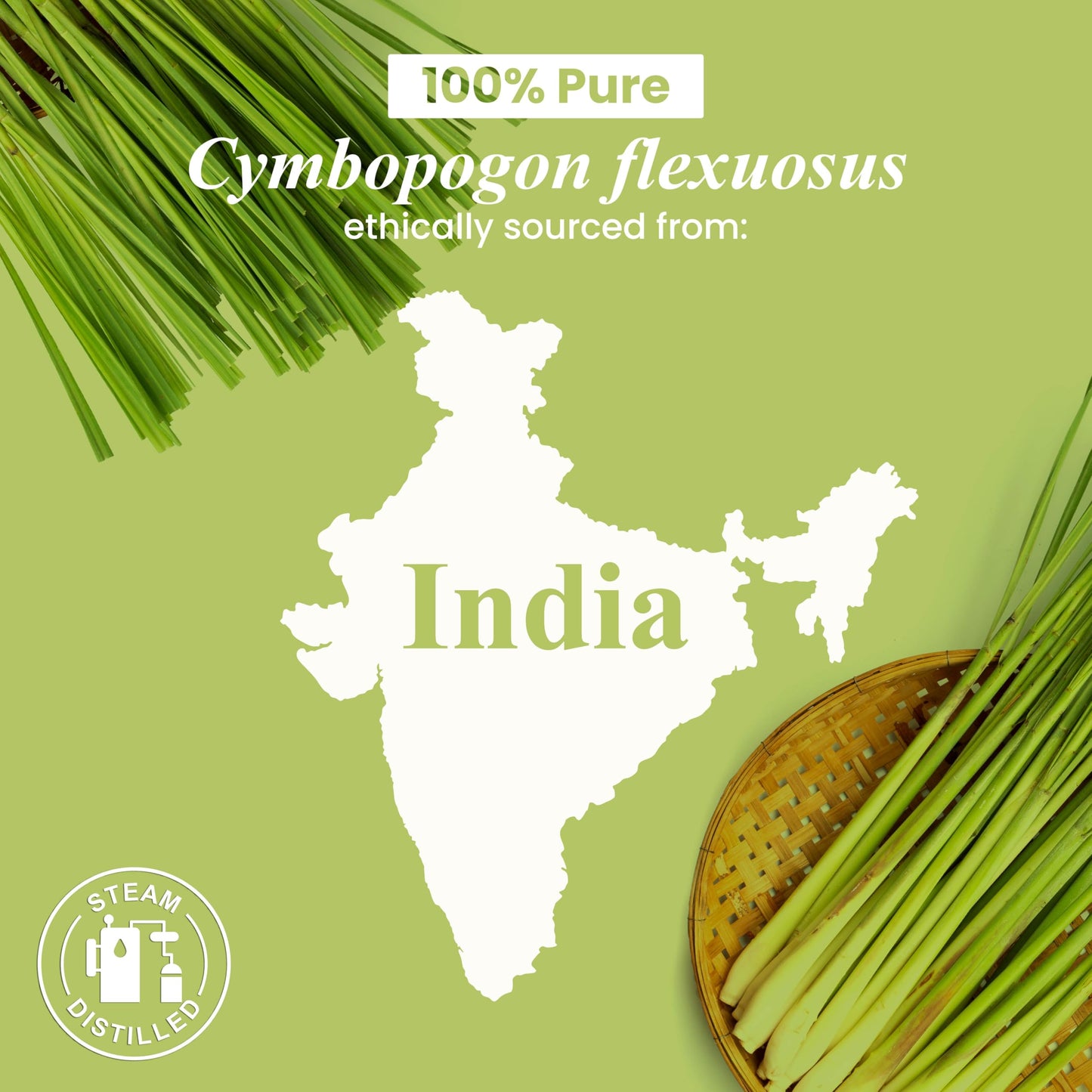 Handcraft Blends Lemongrass Essential Oil 30ml