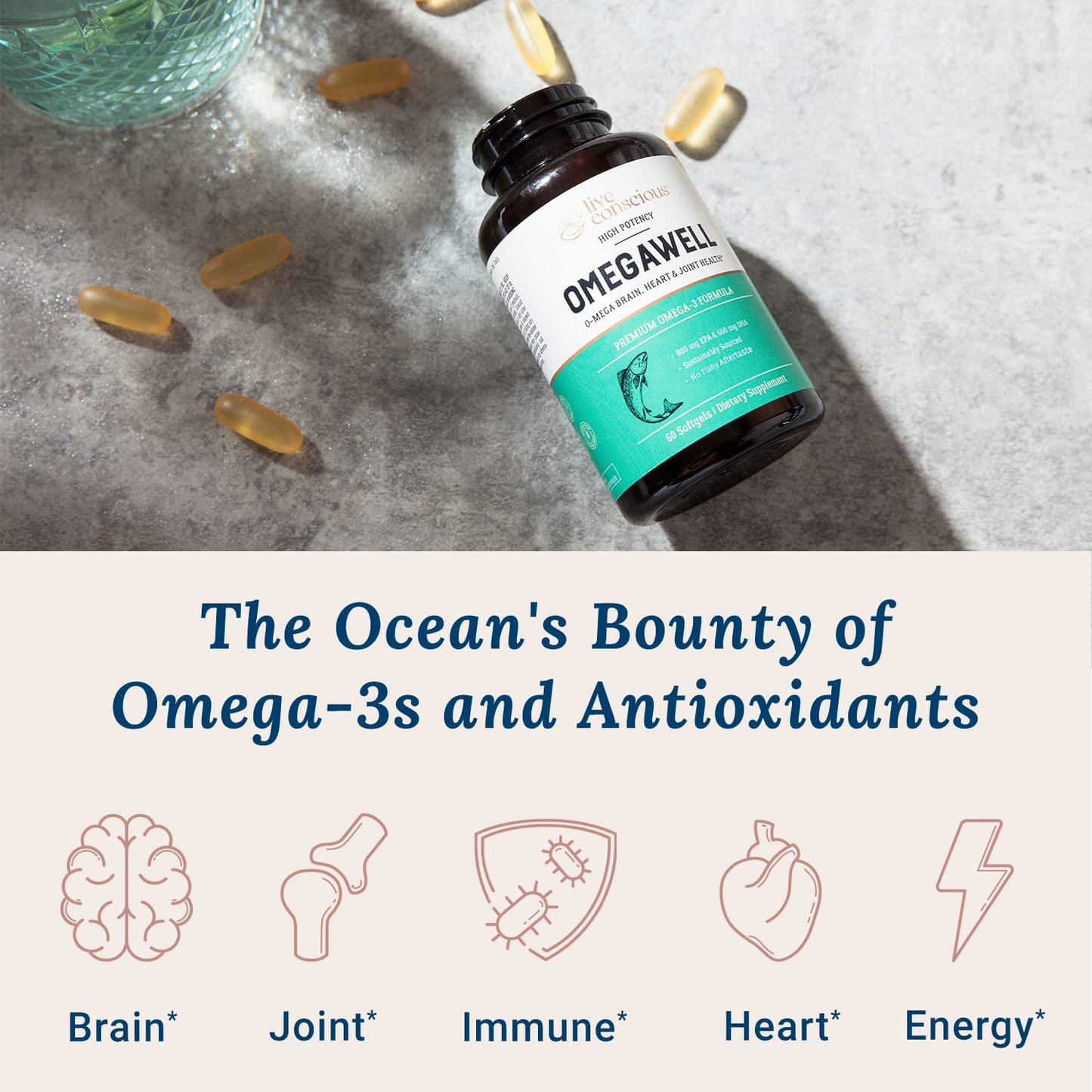 Live Conscious OmegaWell Fish Oil 800mg EPA 600mg DHA 2-Pack