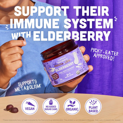 Llama Naturals Elderberry Gummies for Kids – Vegan Organic Immune Support with Vitamin C & Zinc | 120 Count