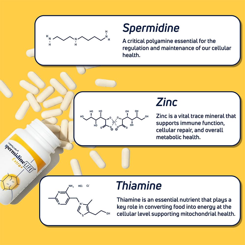 Longevity Labs+ spermidineLIFE Extra+ – Spermidine & Zinc | 60 Capsules - Calm Era