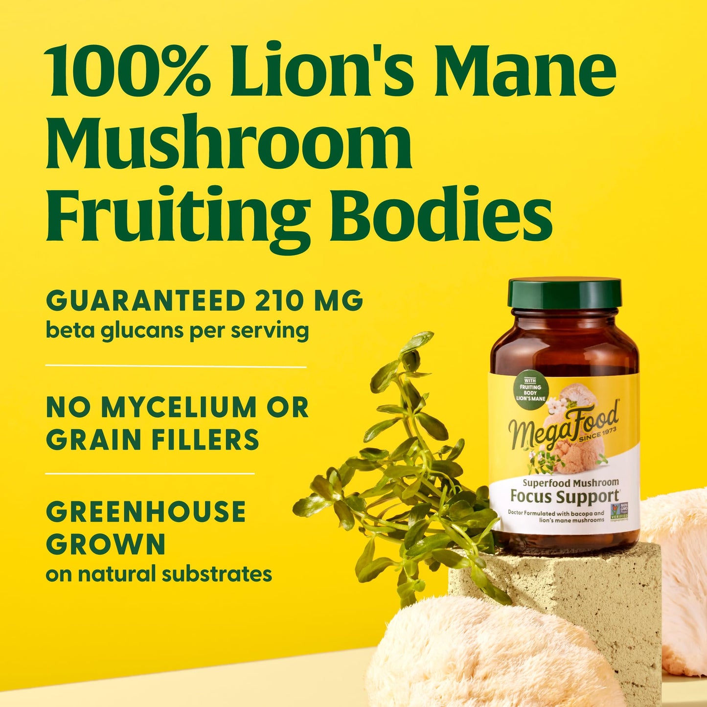 MegaFood Superfood Mushroom Focus Support – Lion’s Mane with Bacopa 60 Capsules