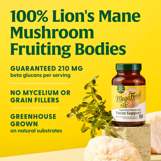 MegaFood Superfood Mushroom Focus Support – Lion’s Mane with Bacopa 60 Capsules