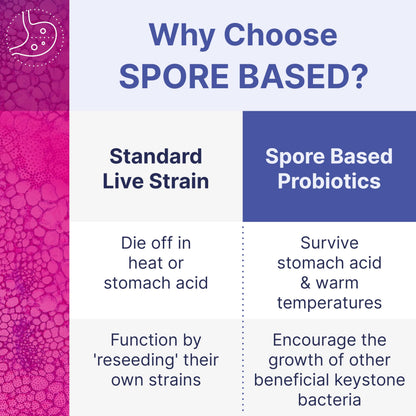 MegaSporeBiotic Probiotics - Spore-Based Digestive Health (180 Capsules) - Calm Era