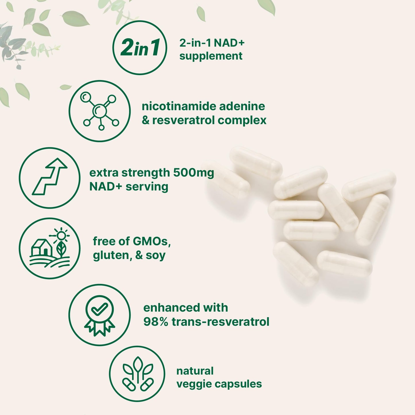 Micro Ingredients NAD+ 500mg with Resveratrol 240 Veggie Capsules