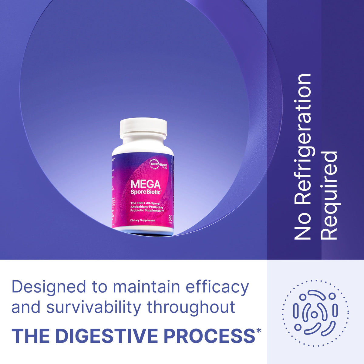 Microbiome Labs MegaSporeBiotic Probiotics for Women & Men - Spore-Based Digestive Health (60 Capsules) - Calm Era