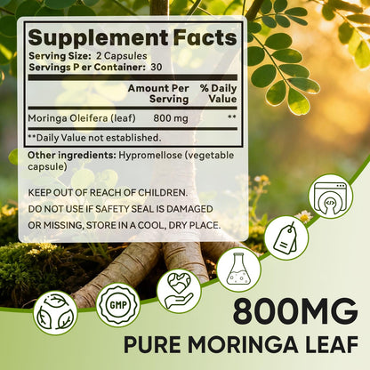 Golden Chapter Moringa Capsules with Iron, Magnesium, B12 & Vitamin C 60ct