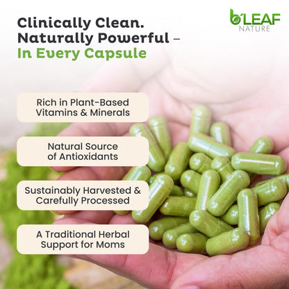 B'Leaf Nature Organic Moringa Capsules 1000mg | 180ct Vegan Non-GMO