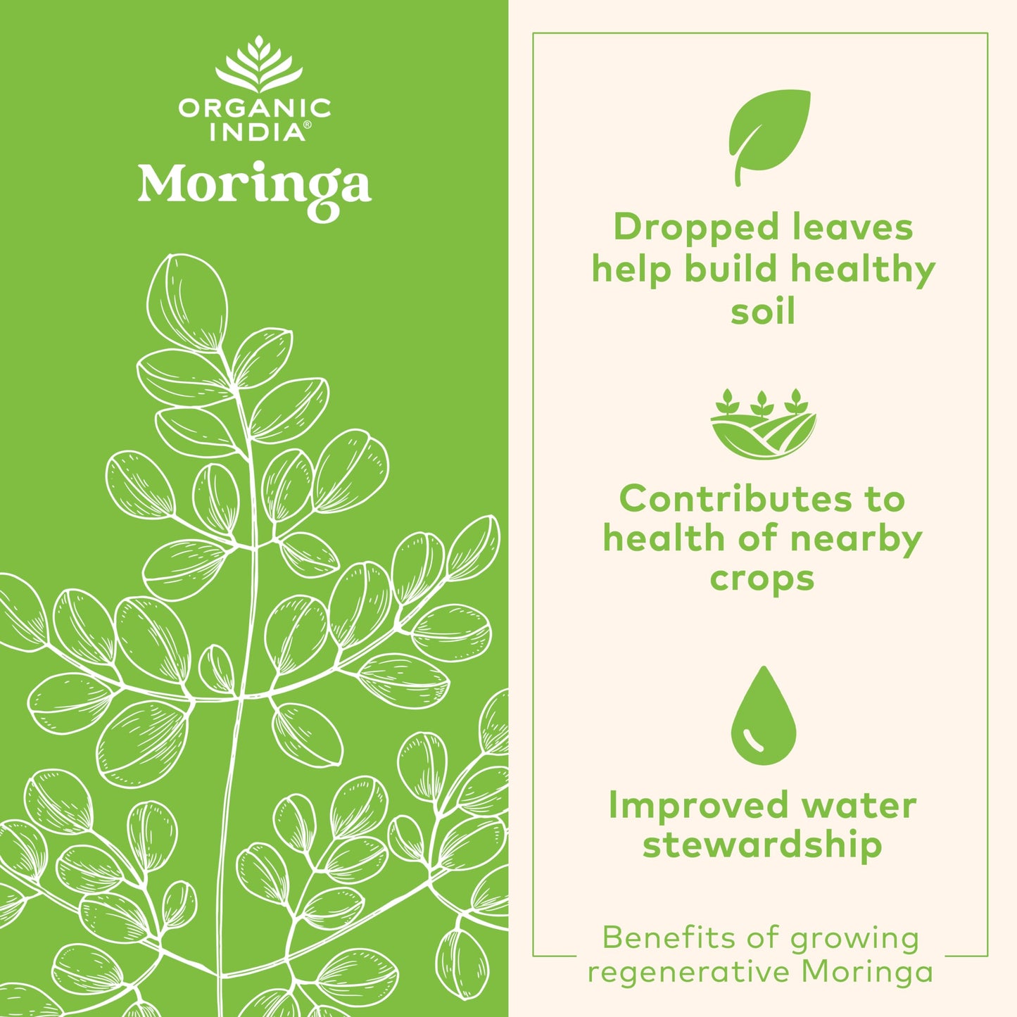 Organic India Moringa Capsules 90ct