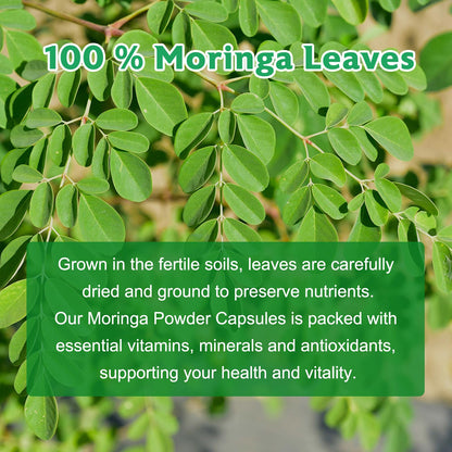 Balincer Moringa Powder Capsules 800mg | 240 Vegan Capsules