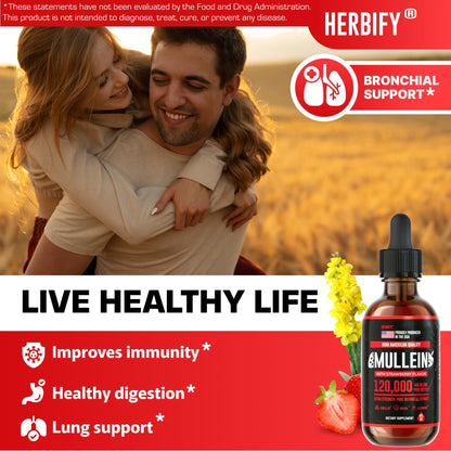 Herbify Mullein Drops – Strawberry 4oz