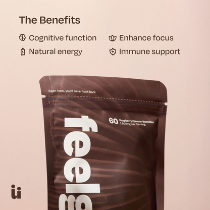 Feel Güd Mushroom Gummies — Lion’s Mane, Cordyceps, Chaga & Reishi