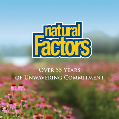 Natural Factors Vitamin C 1000mg Time Release — 90 Tablets
