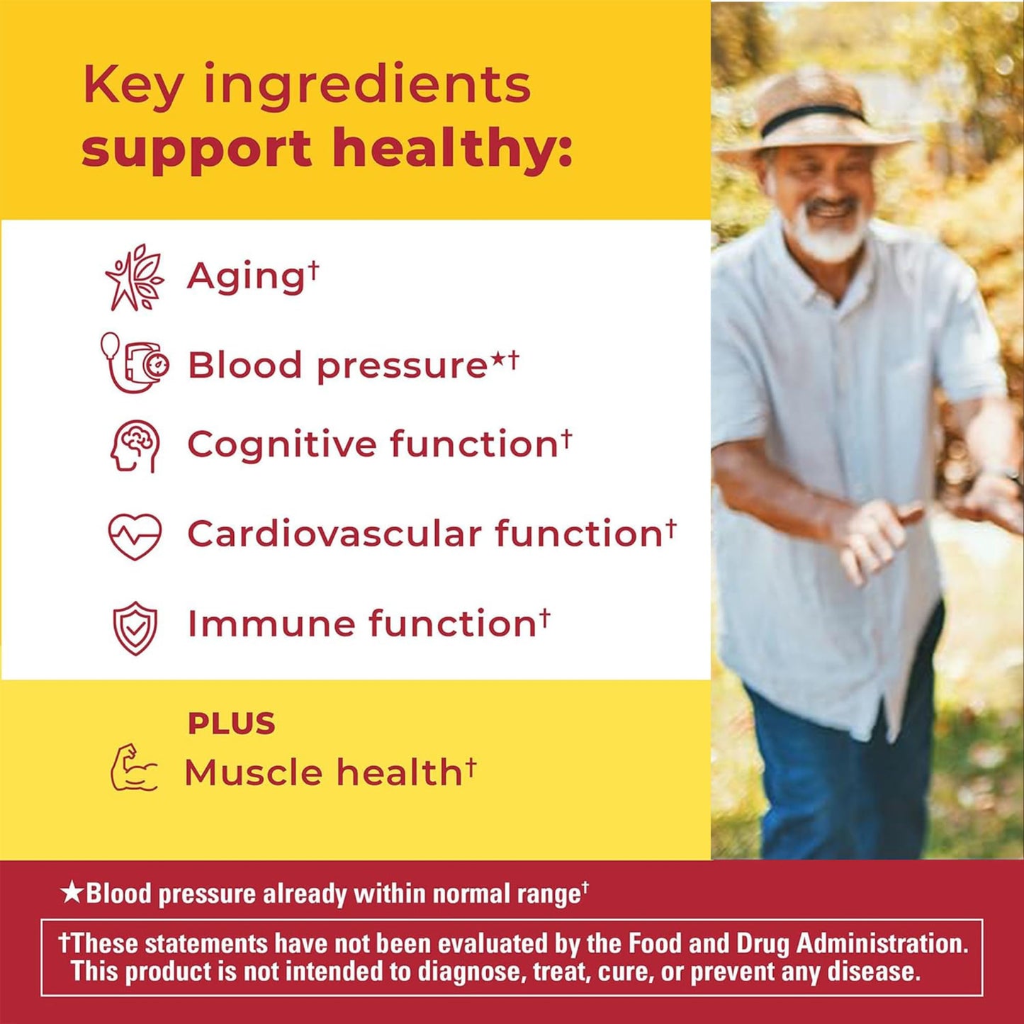 Nature Made Advanced Multivitamin Gummies 50+ for Him — 84 Count