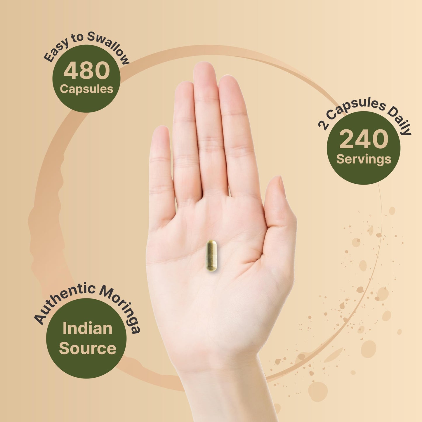 NatureBell Pure Moringa Capsules 8000mg | 2-Pack 480ct 8-Month Supply