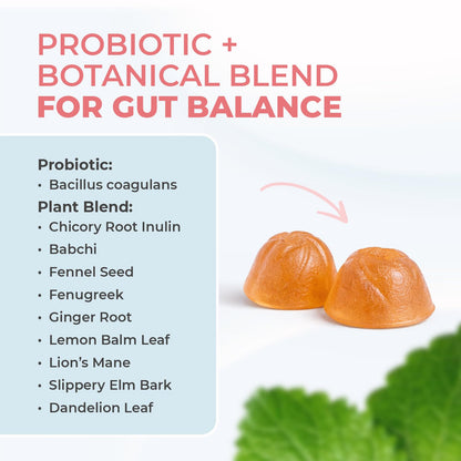 Nature's NutriWave PrimeBiome Probiotic Gummies – 6-Month Supply | 30 Gummies - Calm Era