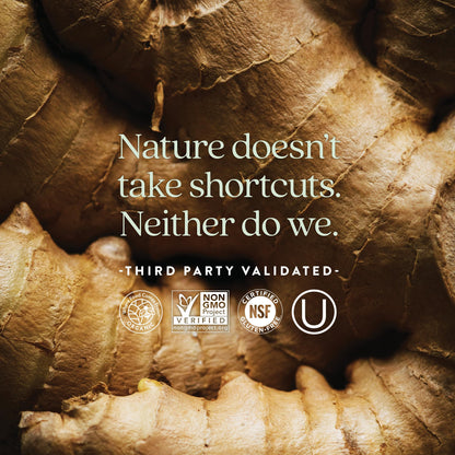 New Chapter Men’s Multivitamin One Daily