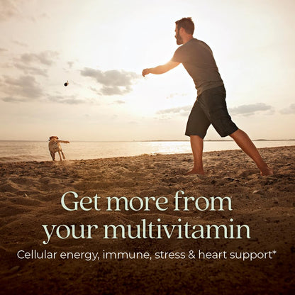 New Chapter Men’s Multivitamin One Daily