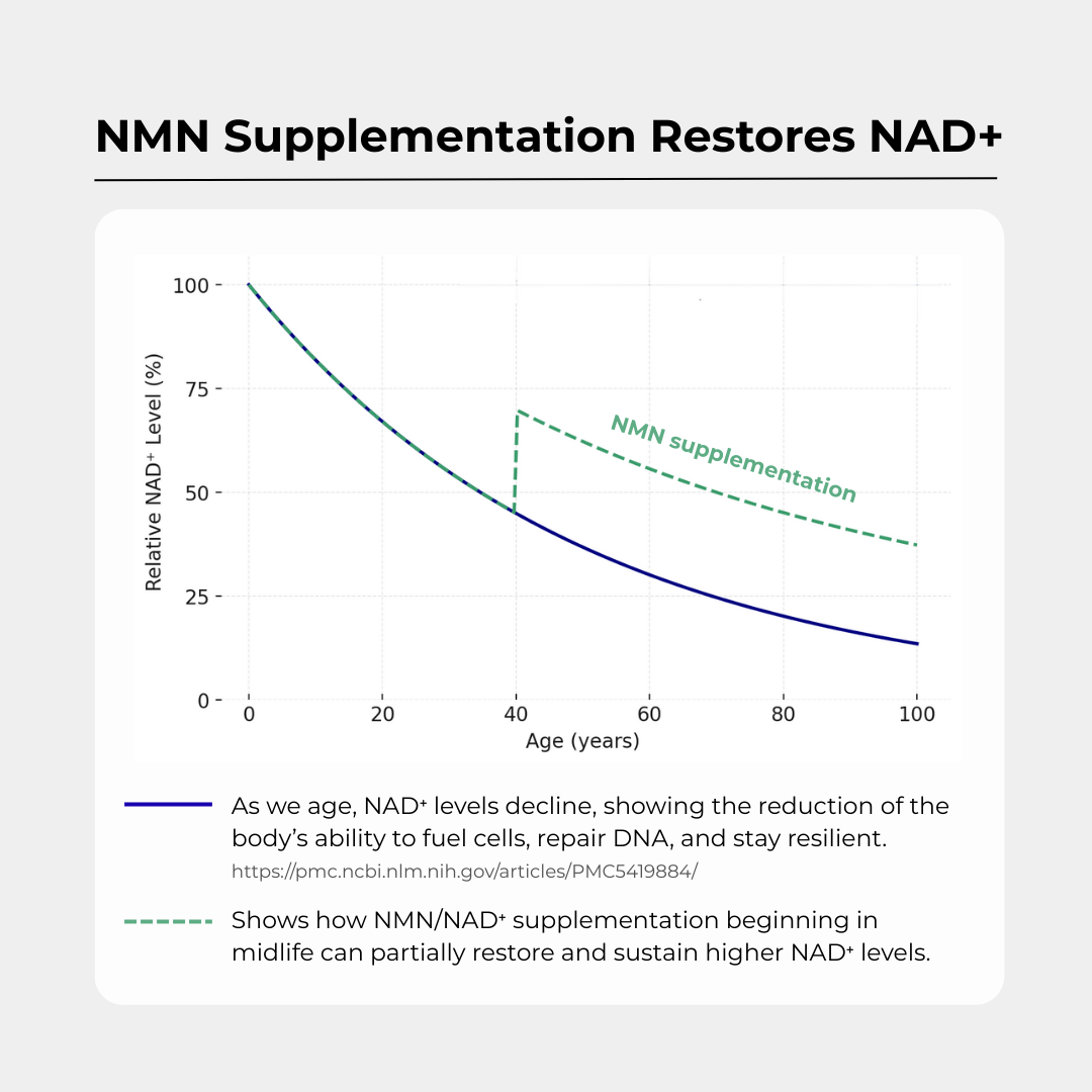 Charava NMN 500mg Capsules — Award-Winning NAD+ Booster