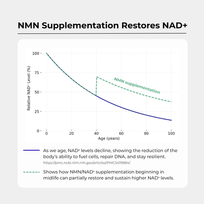 Charava NMN 500mg Capsules — Award-Winning NAD+ Booster