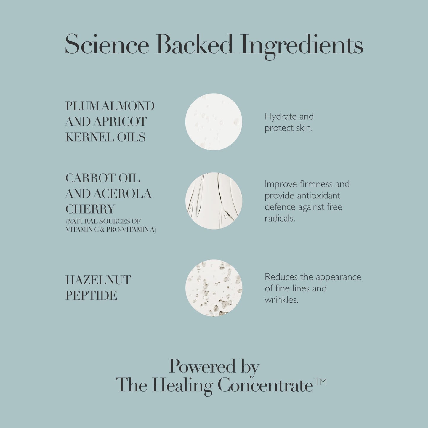 Omorovicza Rejuvenating Night Cream – Hazelnut Peptide & Plum Almond Oil