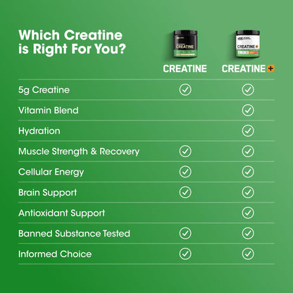 Optimum Nutrition Creatine 2500 Caps