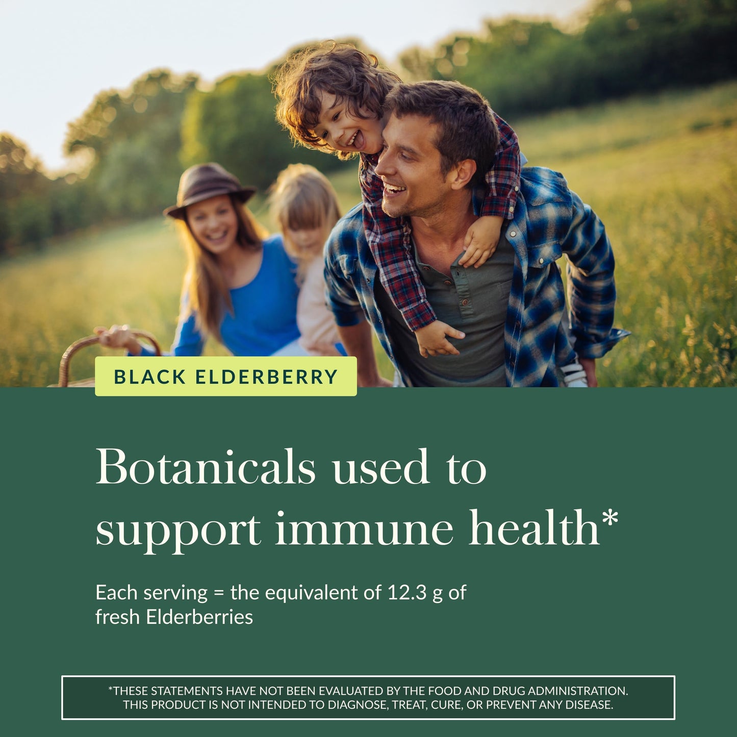 Gaia Herbs Black Elderberry Gummies – Extra Strength Immune Support | 120 Gummies