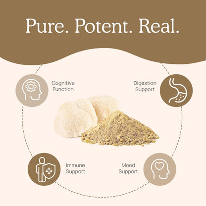 Real Mushrooms Lion's Mane Capsules 300ct | Organic USDA Beta-Glucan Rich