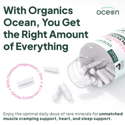 Organics Ocean Magnesium Glycinate with Zinc | Dead Sea | 6-Bottle Bundle