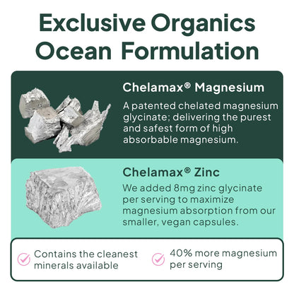 Organics Ocean Magnesium Glycinate with Zinc | Dead Sea | 6-Bottle Bundle