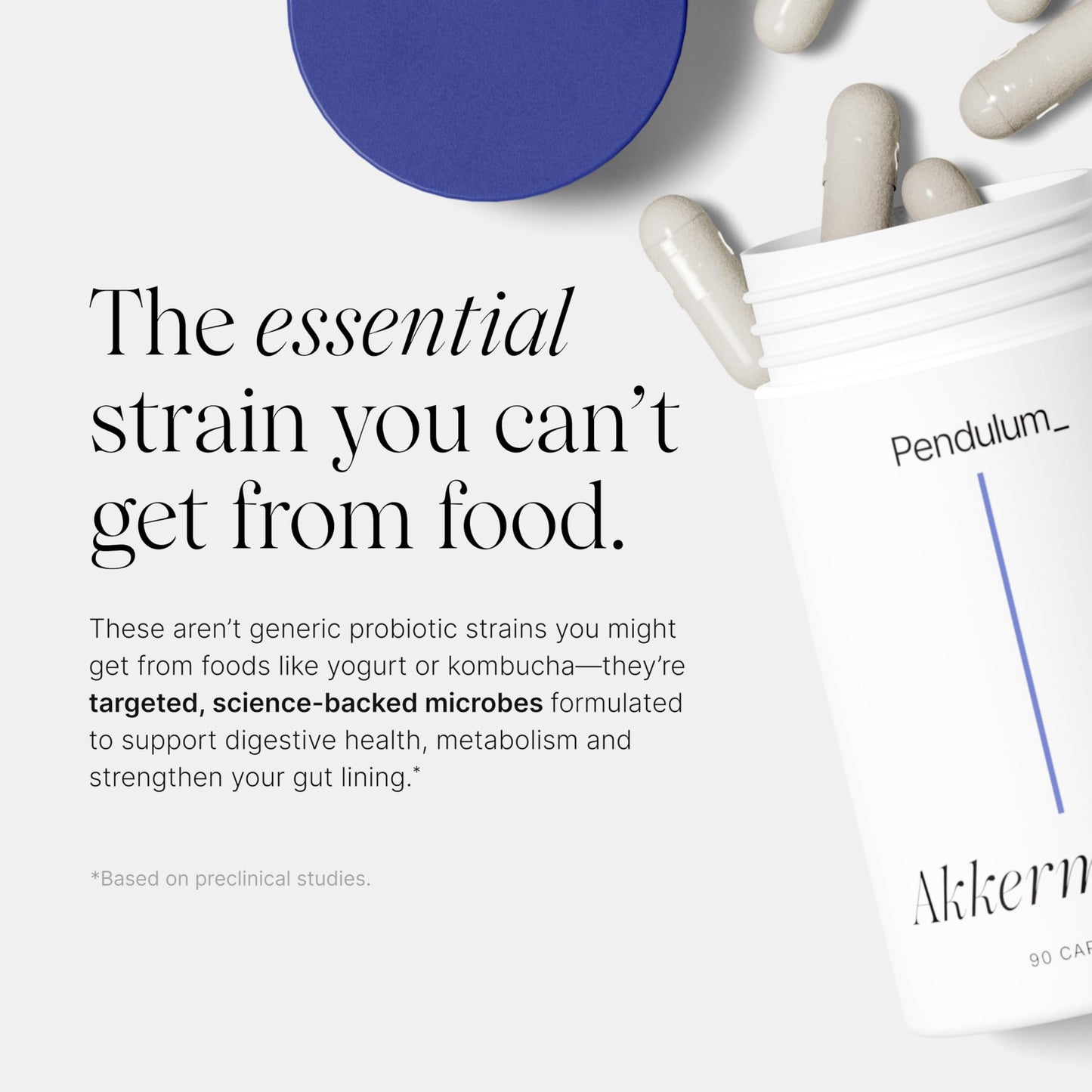 Pendulum Akkermansia Probiotic with Prebiotic Fiber 90 Capsules