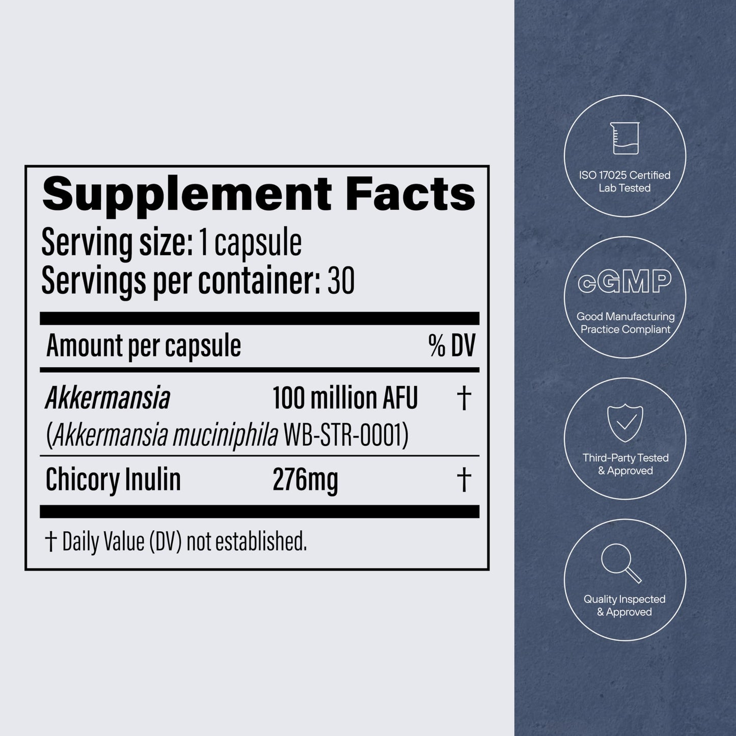 Pendulum Akkermansia Probiotic with Prebiotic Fiber 90 Capsules