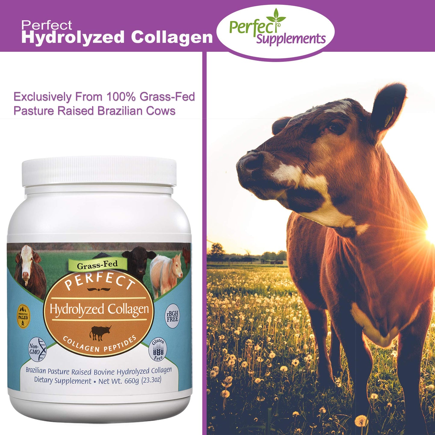 Perfect Supplements Hydrolyzed Collagen Powder – Grass-Fed, Brazilian Pasture-Raised | 660g × 2