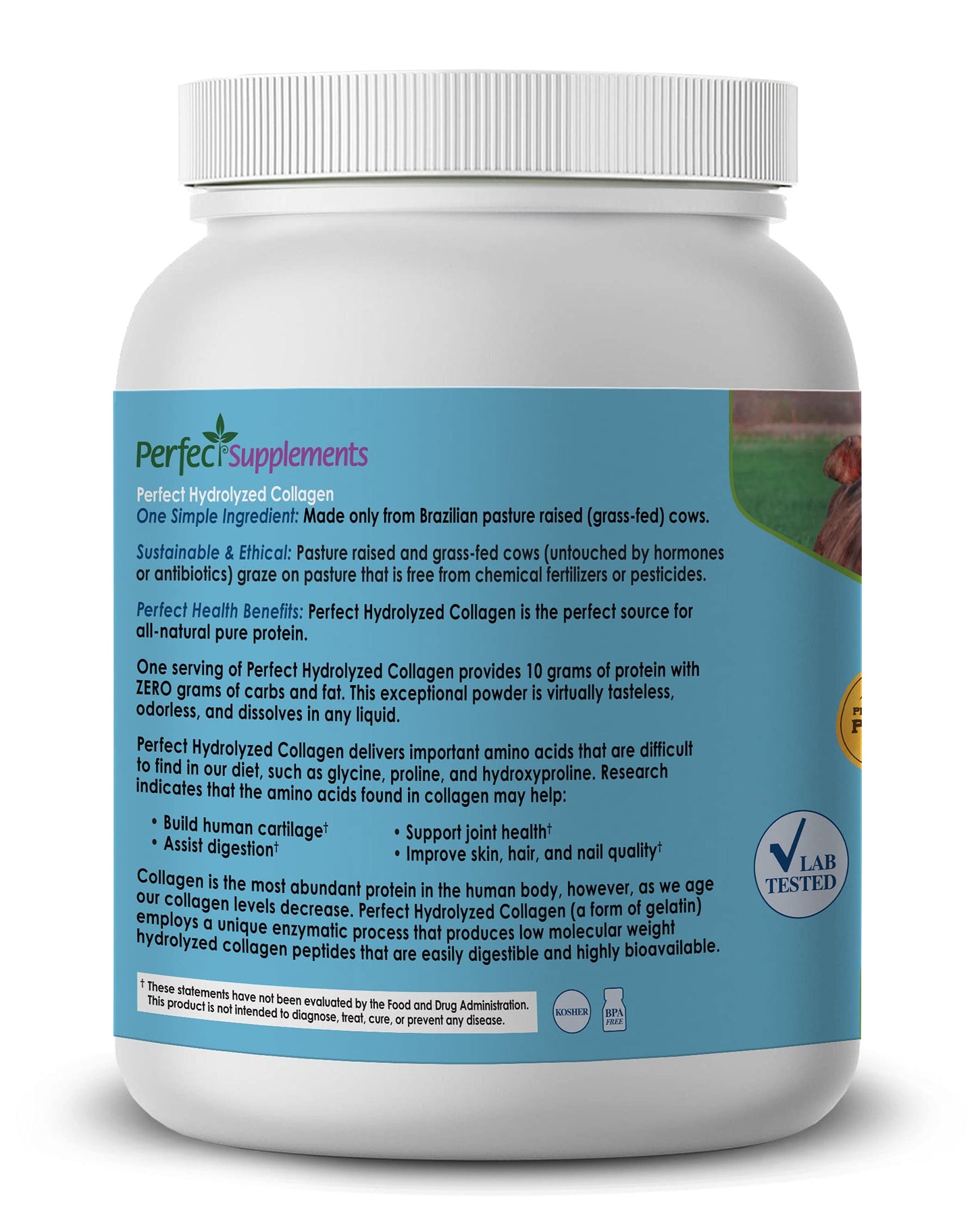 Perfect Supplements Hydrolyzed Collagen Powder – Unflavored | 660g