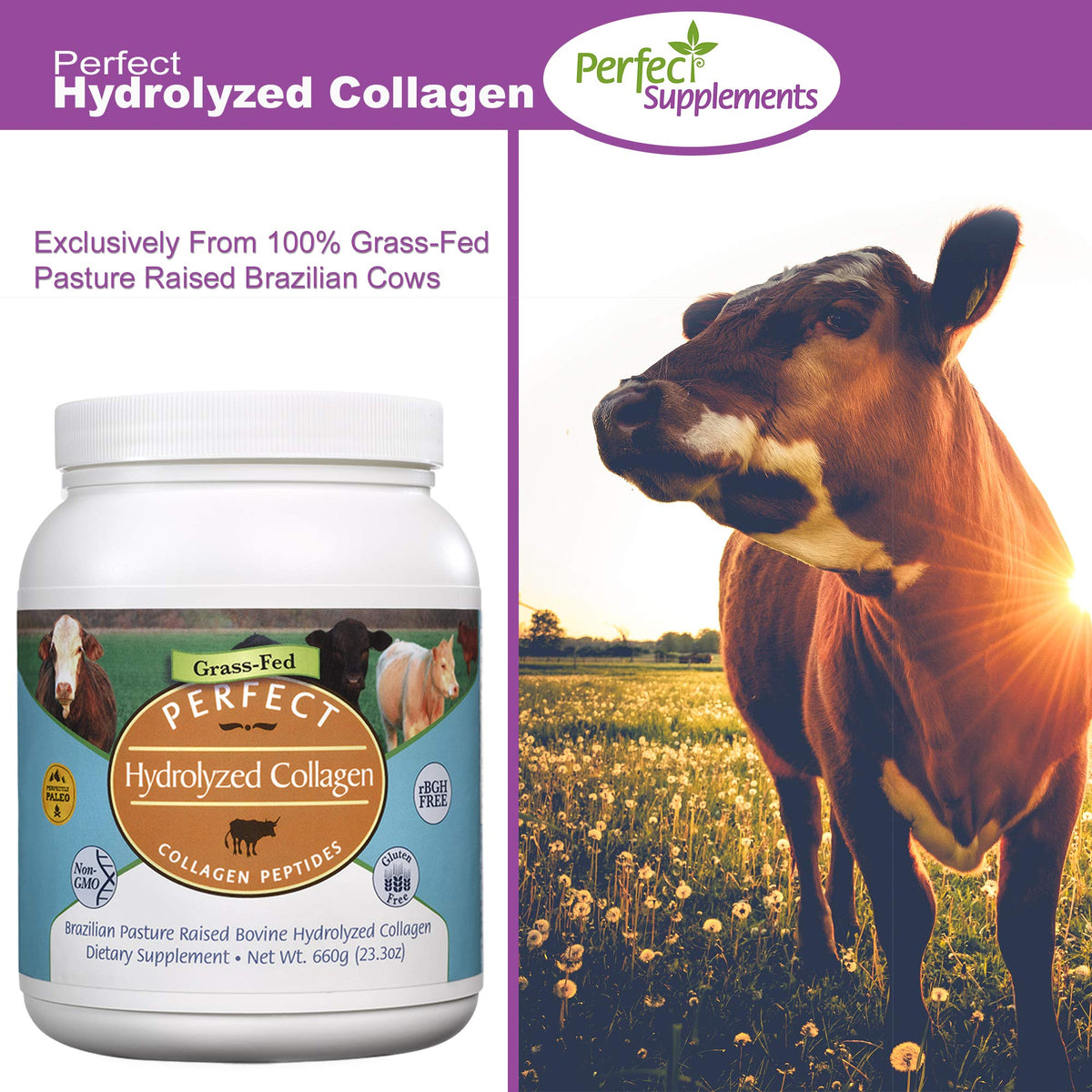Perfect Supplements Hydrolyzed Collagen Powder – Grass-Fed, Brazilian Pasture-Raised | 660g × 2 - Calm Era