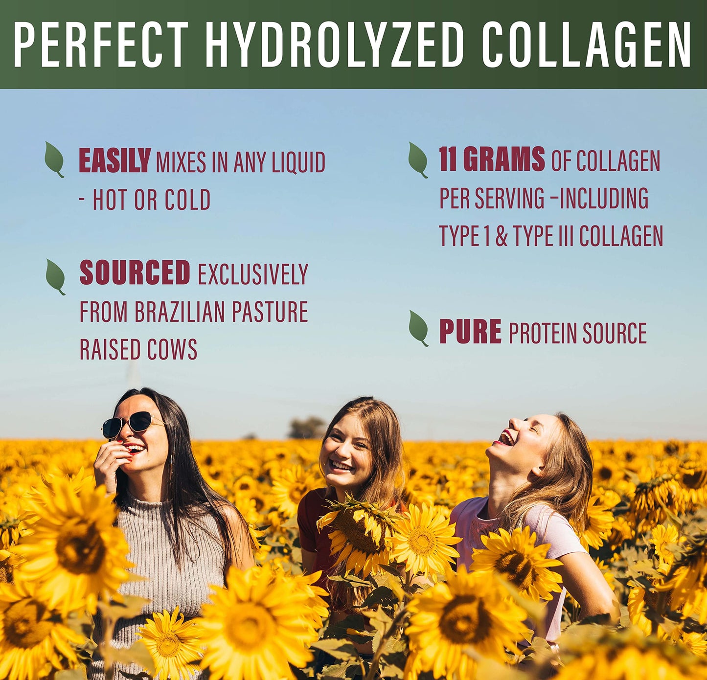Perfect Supplements Hydrolyzed Collagen Powder – Unflavored | 660g